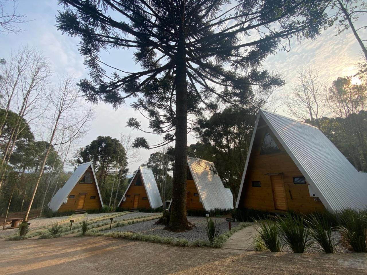 Reserva Linha Bonita Chalé Gramado